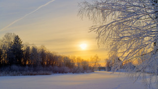 Snowy field trees bench sunset - a snowy field free wallpaper