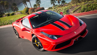 Red sports car beach palm - a view of the ocean free wallpaper for desktop