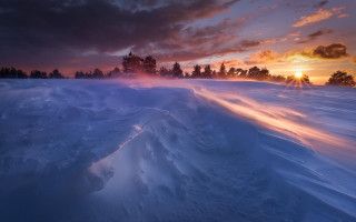 Sunset snow covered field trees 2 - volumetric light free wallpaper