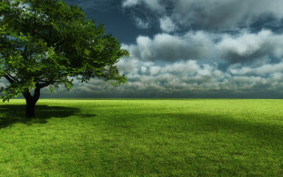 Tree field cloudy sky green 3 - grass and trees free wallpaper