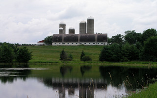 Farm pond silo barn trees - a farm free wallpaper