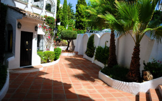 Palm tree white building red - a white fence free wallpaper