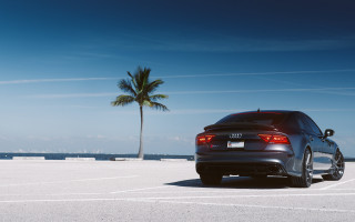 Car palm ocean beach tilt - rim free wallpaper