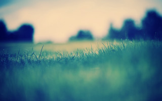 Blurry grassy field trees blue - a blurry photo free wallpaper