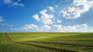 Large field dirt track blue - a large field free wallpaper for desktop