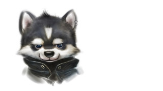 Husky leather jacket sad look - husky free wallpaper for desktop