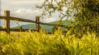 Wooden fence grassy field mountains 3 - american impressionism free wallpaper