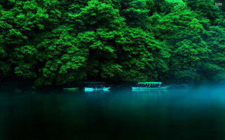 Boat forest green nature long - choi buk free wallpaper for desktop