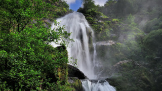 Waterfall side surrounding trees nature - arthur b. carles free wallpaper