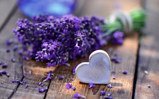 Heart lavender wooden table roses - a wooden table free wallpaper for desktop