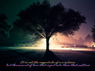 Tree field quote light behind - a tree in a field free wallpaper