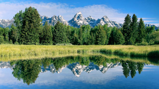 Mountain lake reflection forest grass - ansel adams free wallpaper for desktop