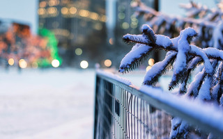 Snowy tree branch fence city - art photography free wallpaper