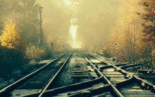 Train track foggy park bench - the foggy day free wallpaper