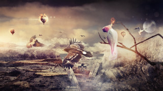 Bird flying cliff tree birds - bird free wallpaper for desktop