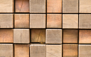 Wooden wall bird textures modular - modular free wallpaper