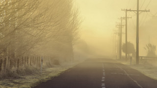 Foggy road telephone pole trees - volumetric fog free wallpaper for desktop