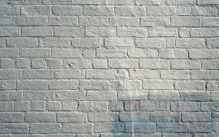 Brick wall fire hydrant minimalist - painted free wallpaper