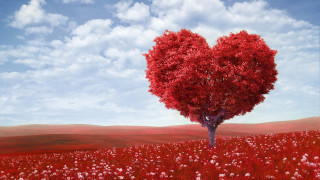 Heart shaped tree field flowers 3 - free hearts wallpaper for desktop