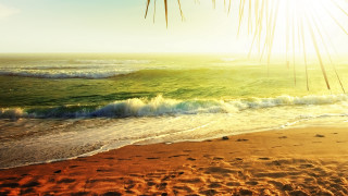 Beach waves shore sunset ocean - shining free wallpaper
