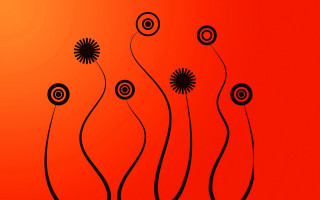 Red background black flowers black - the bottom of the image free wallpaper for desktop