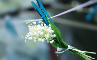 Flowers clothesline scissors neo romanticism - end free wallpaper