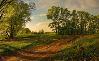 Dirt road grassy field car - a grassy field free wallpaper for desktop