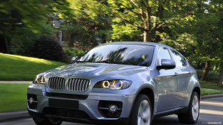 Silver bmw suv driving park - a white dog free wallpaper