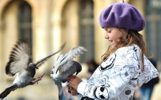 Girl feeding bird purple hat - her head and a bird free wallpaper