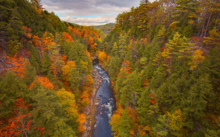 Fall colors river forest autumn - fall free wallpaper for desktop