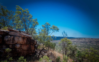 Rocky cliff trees autumn blue - a rocky cliff free wallpaper