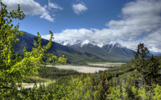 Valley mountain clouds forests trees - a view of a valley free wallpaper for desktop