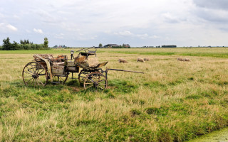 Wagon field sheep barn ecological - a wooden handle free wallpaper