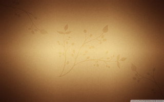 Wall plant light brown background - a white flower free wallpaper