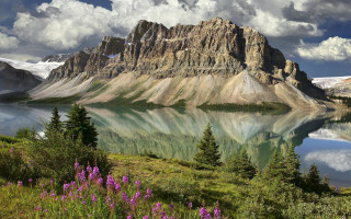 Mountain lake forest flower clouds - a mountain range free wallpaper
