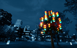 Traffic light tree city park - les automatiste free wallpaper
