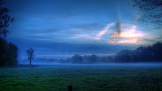 Fenced field trees clouds mist - mist free wallpaper for desktop