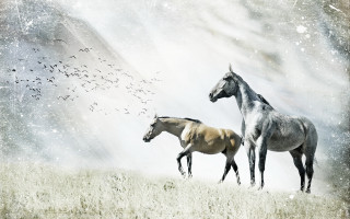 Horses birds field snow tonalism - carle hessay free wallpaper