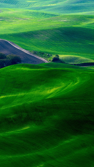 Green field lone tree road - free landscape wallpaper for mobile