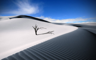 Lone tree desert landscape blue - a few cloud free wallpaper for desktop