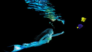 Woman bluebikini underwater fish mermaid - fish free wallpaper for desktop