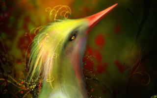 Bird red yellow green christmas - a painting of a bird free wallpaper