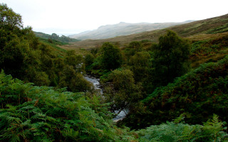 River forest mountains cloudy panorama - alexander johnston free wallpaper for desktop