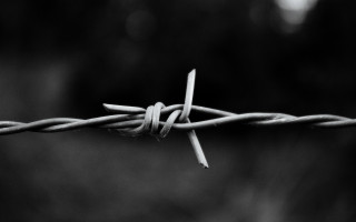 Barbed wire closeup blurry background - wire free wallpaper for desktop