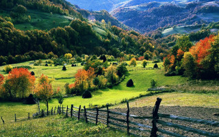 Lush green hillside trees colorful - a lush green hillside free wallpaper