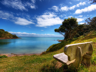 Bench hill water tree blue - tranquil free wallpaper for desktop