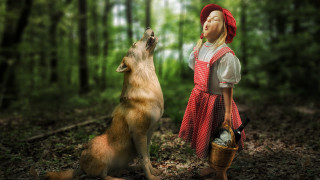 Woman red dress dog forest - caspar wolf free wallpaper