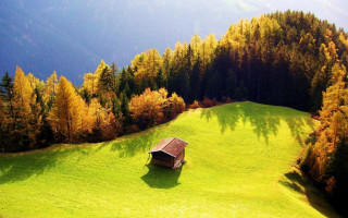 Small cabin field trees mountains 2 - a green field in the foreground free wallpaper