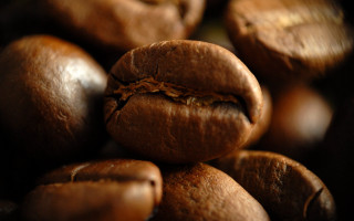 Coffee beans bite closeup photorealistic - a bite free wallpaper