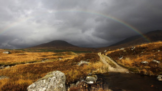 Rainbow over grassy field mountain - eric auld free wallpaper